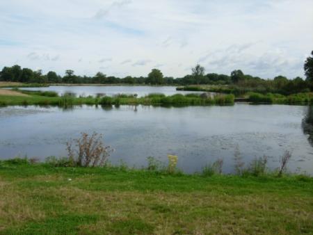 bean lake newdigate